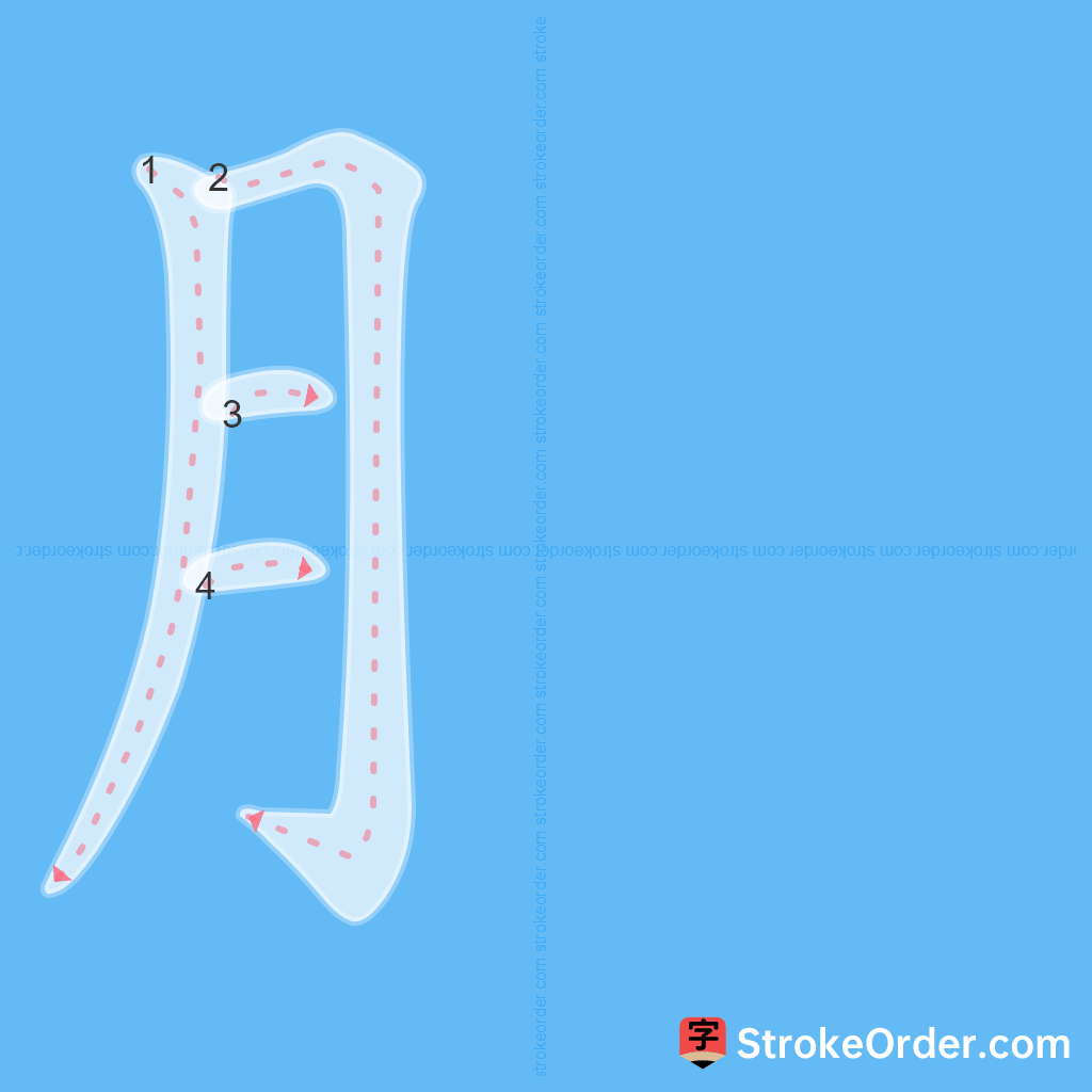 Standard stroke order for the Chinese character ⺼