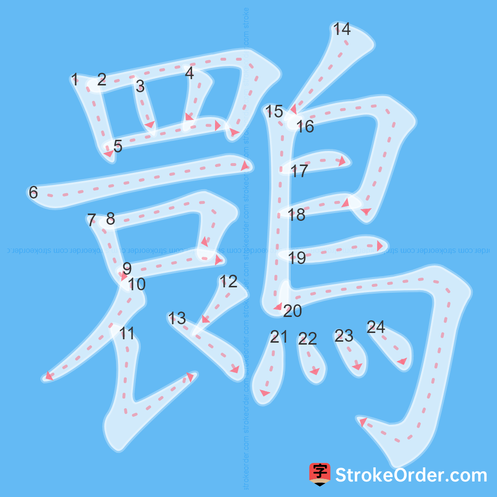 Standard stroke order for the Chinese character 䴉