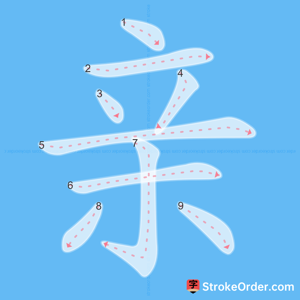 Standard stroke order for the Chinese character 亲