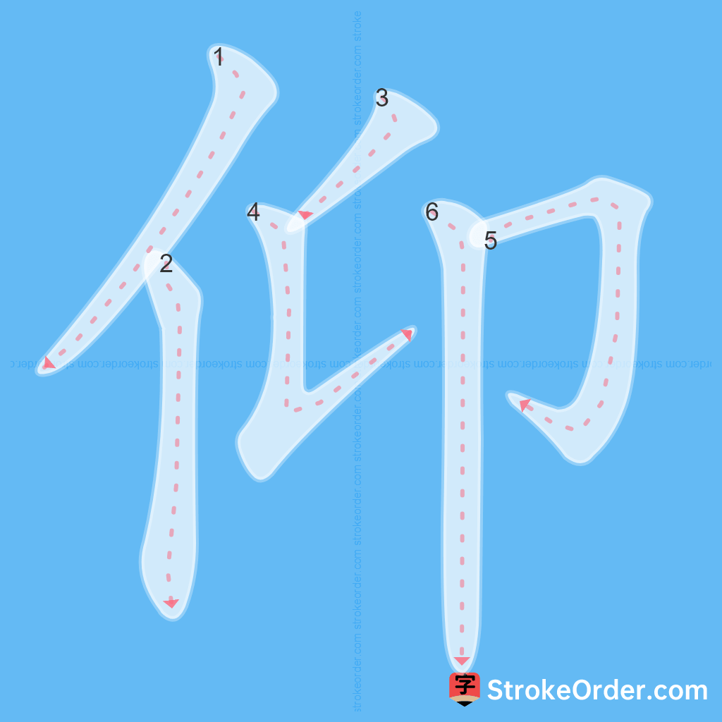Standard stroke order for the Chinese character 仰