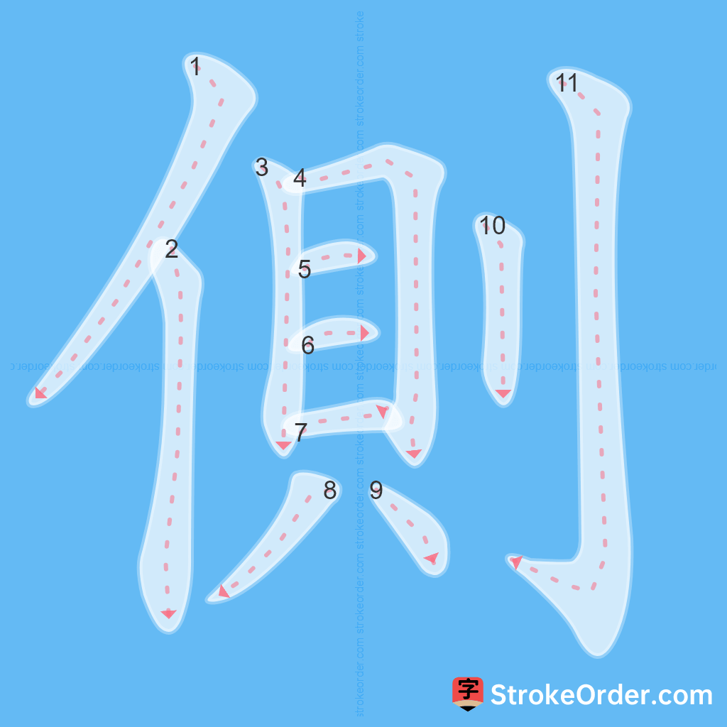 Standard stroke order for the Chinese character 側