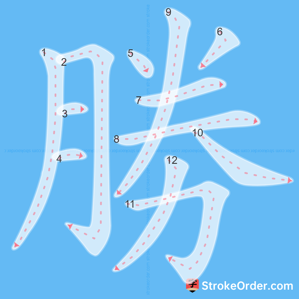 Standard stroke order for the Chinese character 勝