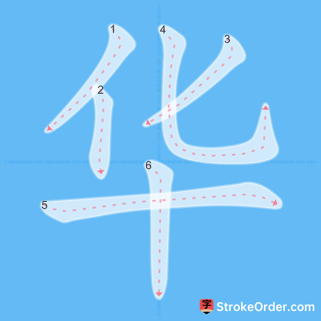 Standard stroke order for the Chinese character 华