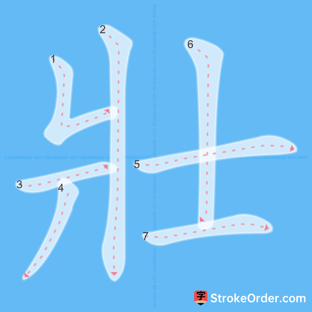 Standard stroke order for the Chinese character 壯