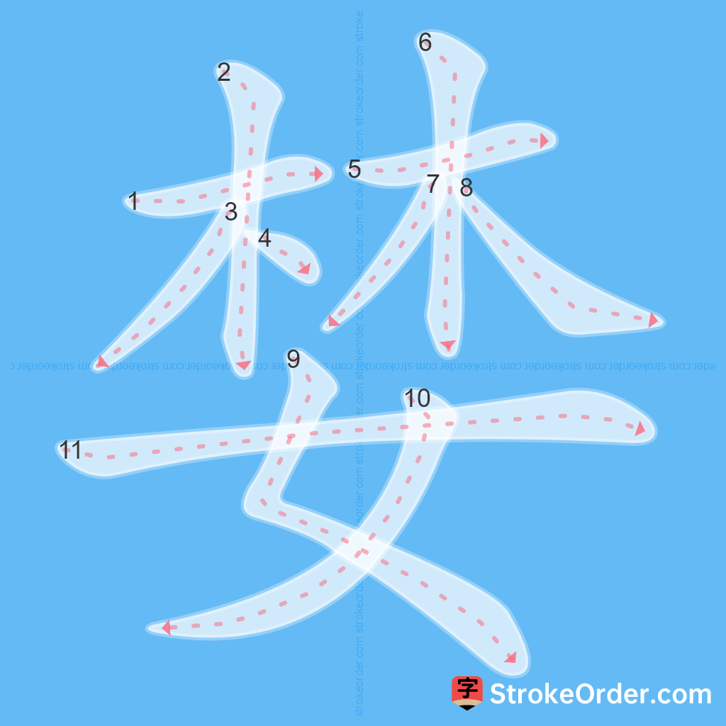 Standard stroke order for the Chinese character 婪