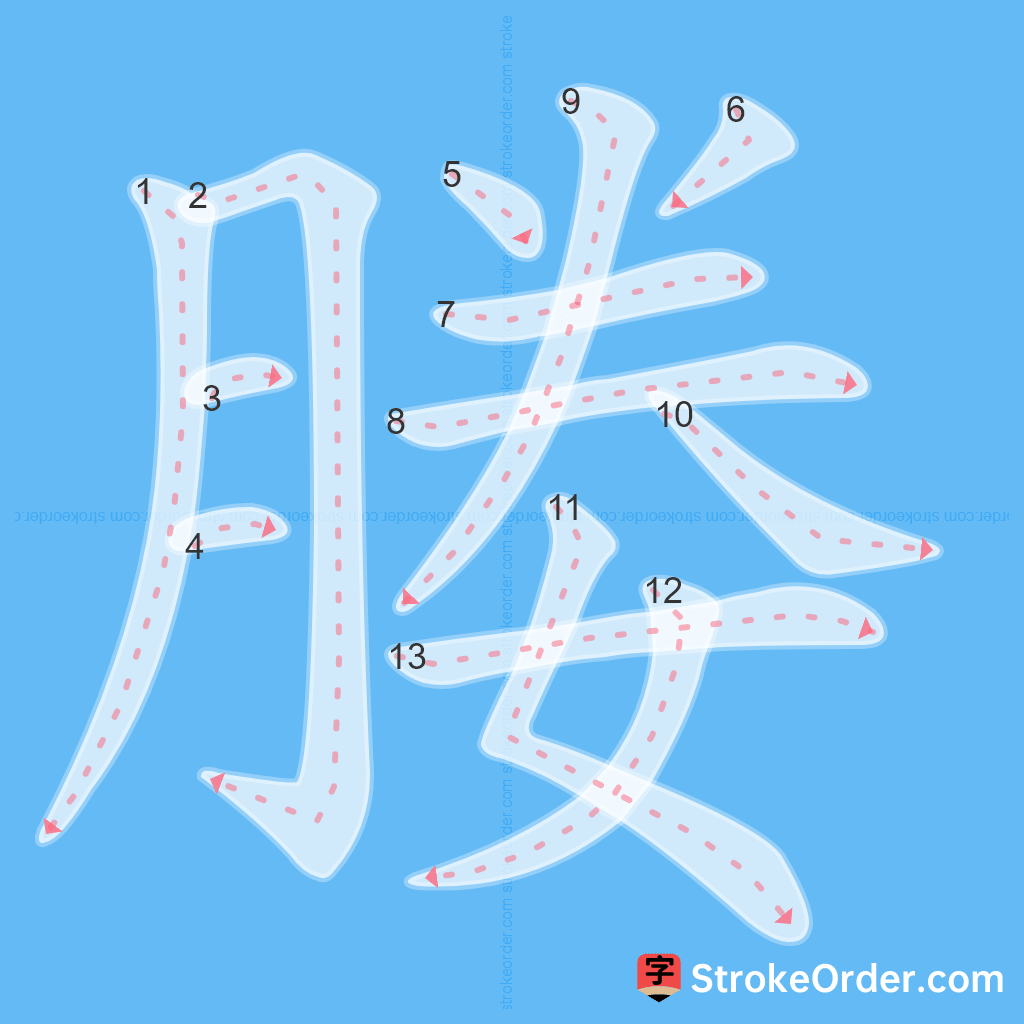 Standard stroke order for the Chinese character 媵