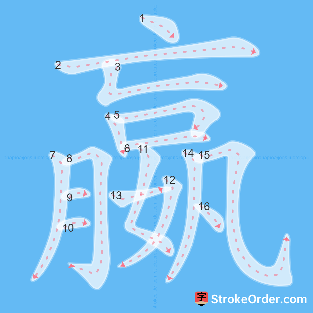 Standard stroke order for the Chinese character 嬴