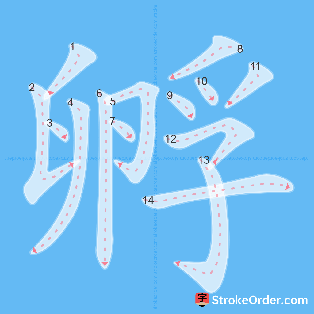 Standard stroke order for the Chinese character 孵