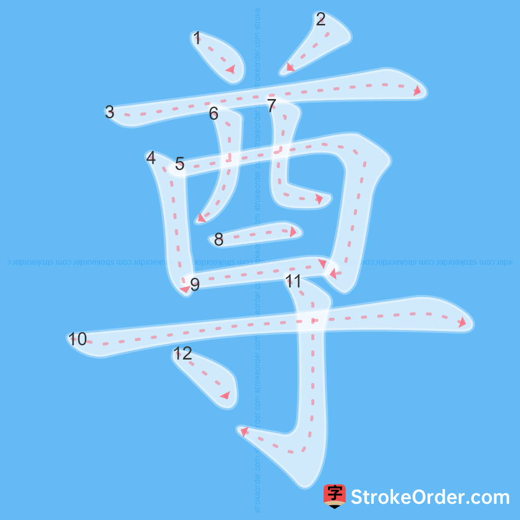 Standard stroke order for the Chinese character 尊