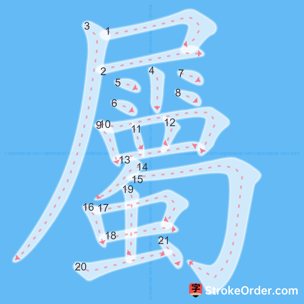 Standard stroke order for the Chinese character 屬