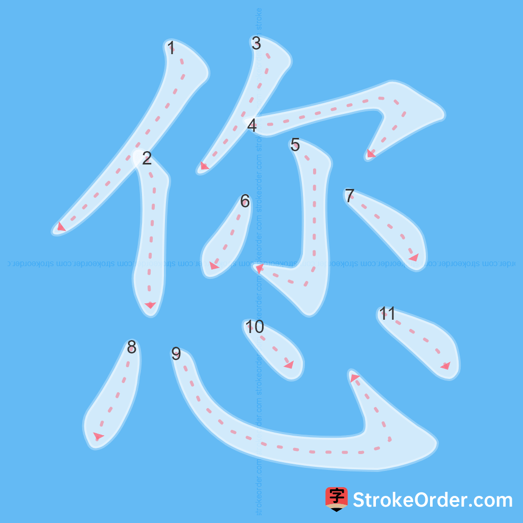 Standard stroke order for the Chinese character 您