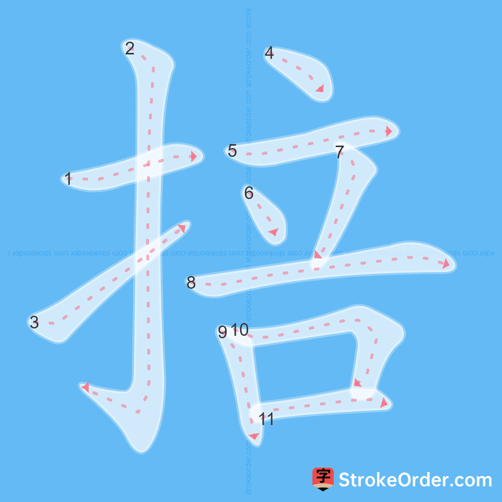 Standard stroke order for the Chinese character 掊