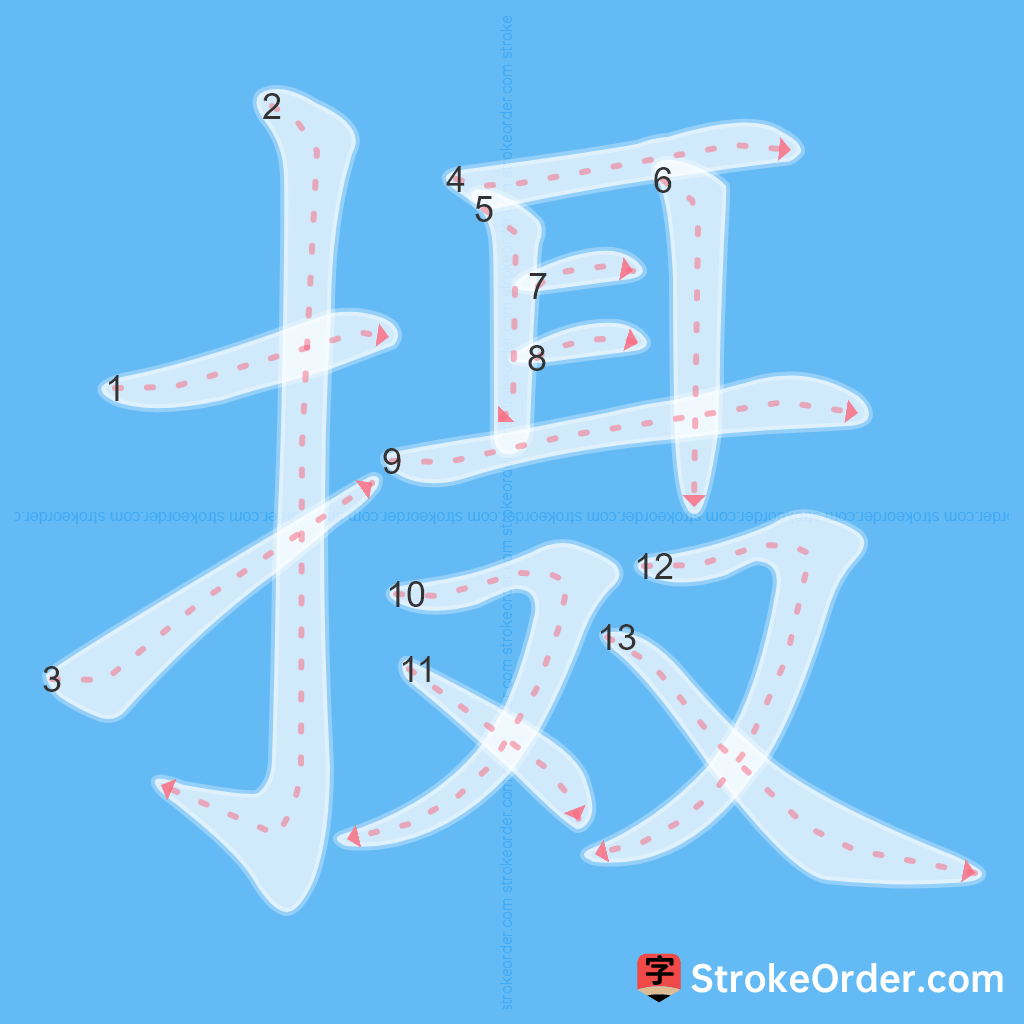 Standard stroke order for the Chinese character 摄