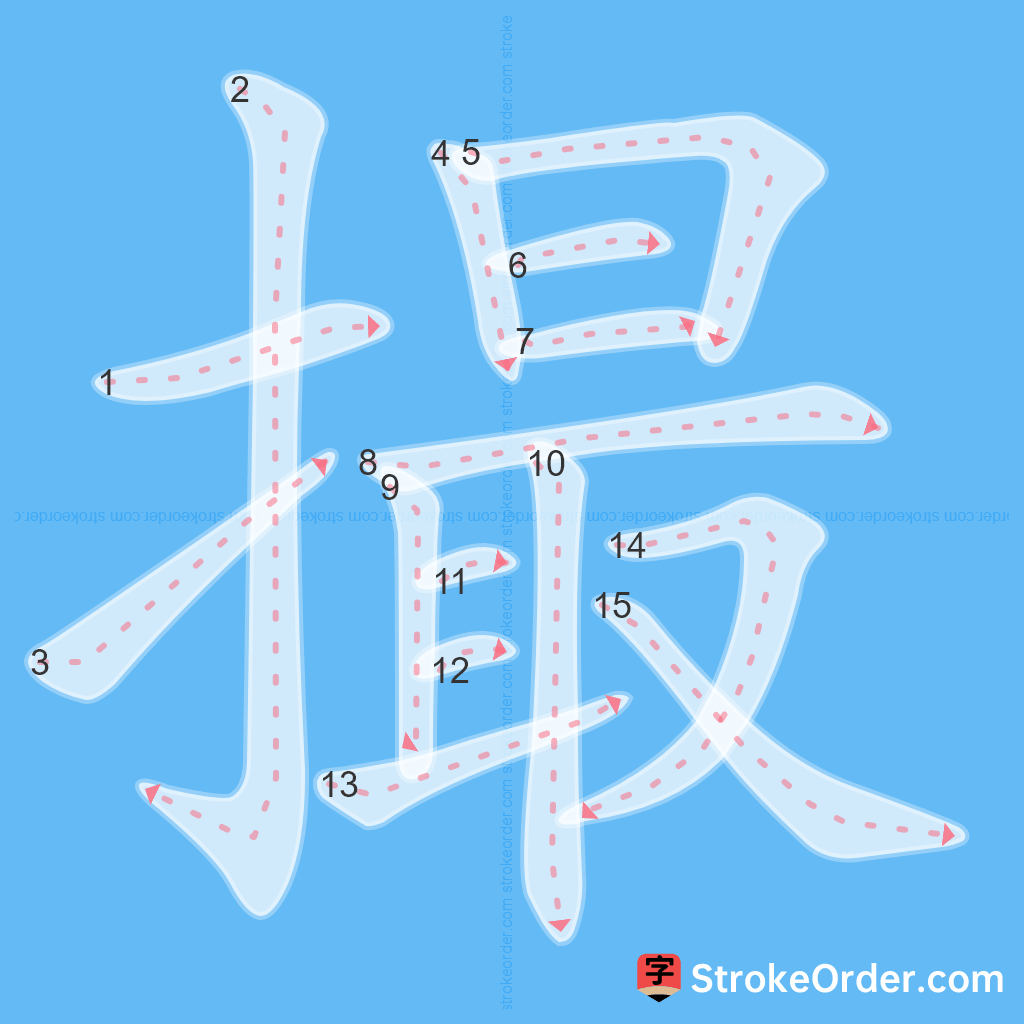 Standard stroke order for the Chinese character 撮