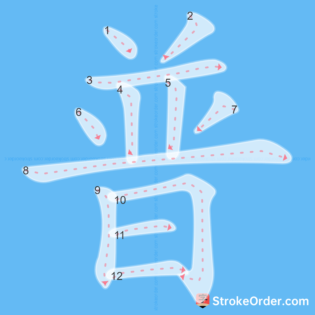 Standard stroke order for the Chinese character 普