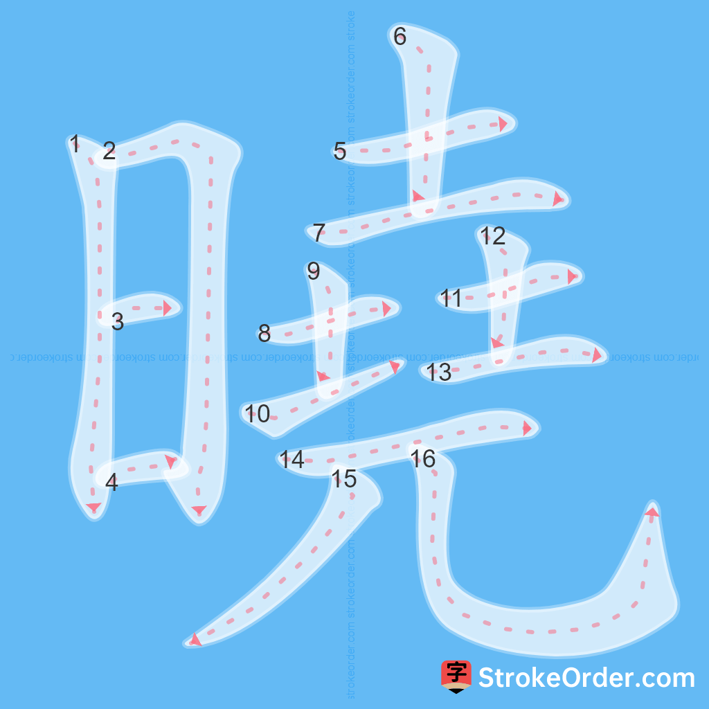 Standard stroke order for the Chinese character 曉