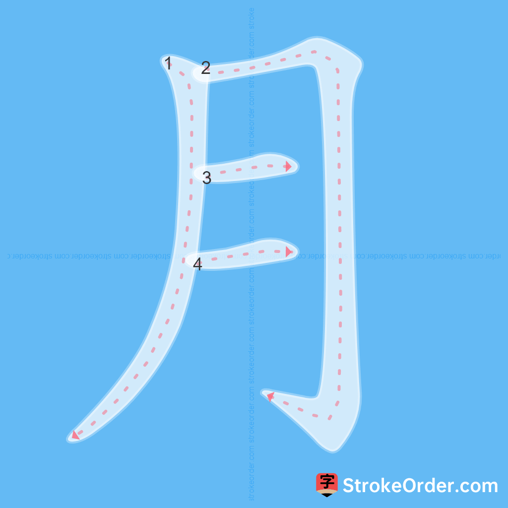 Standard stroke order for the Chinese character 月