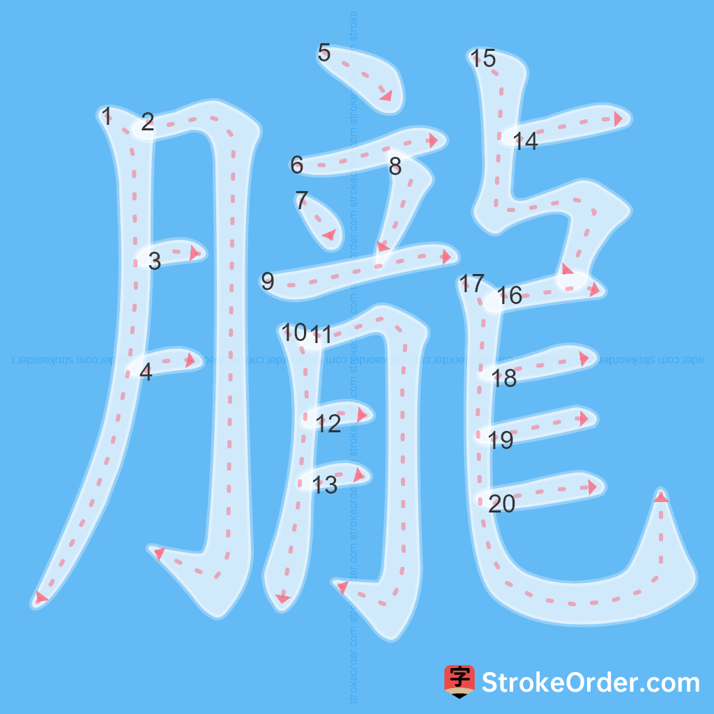 Standard stroke order for the Chinese character 朧