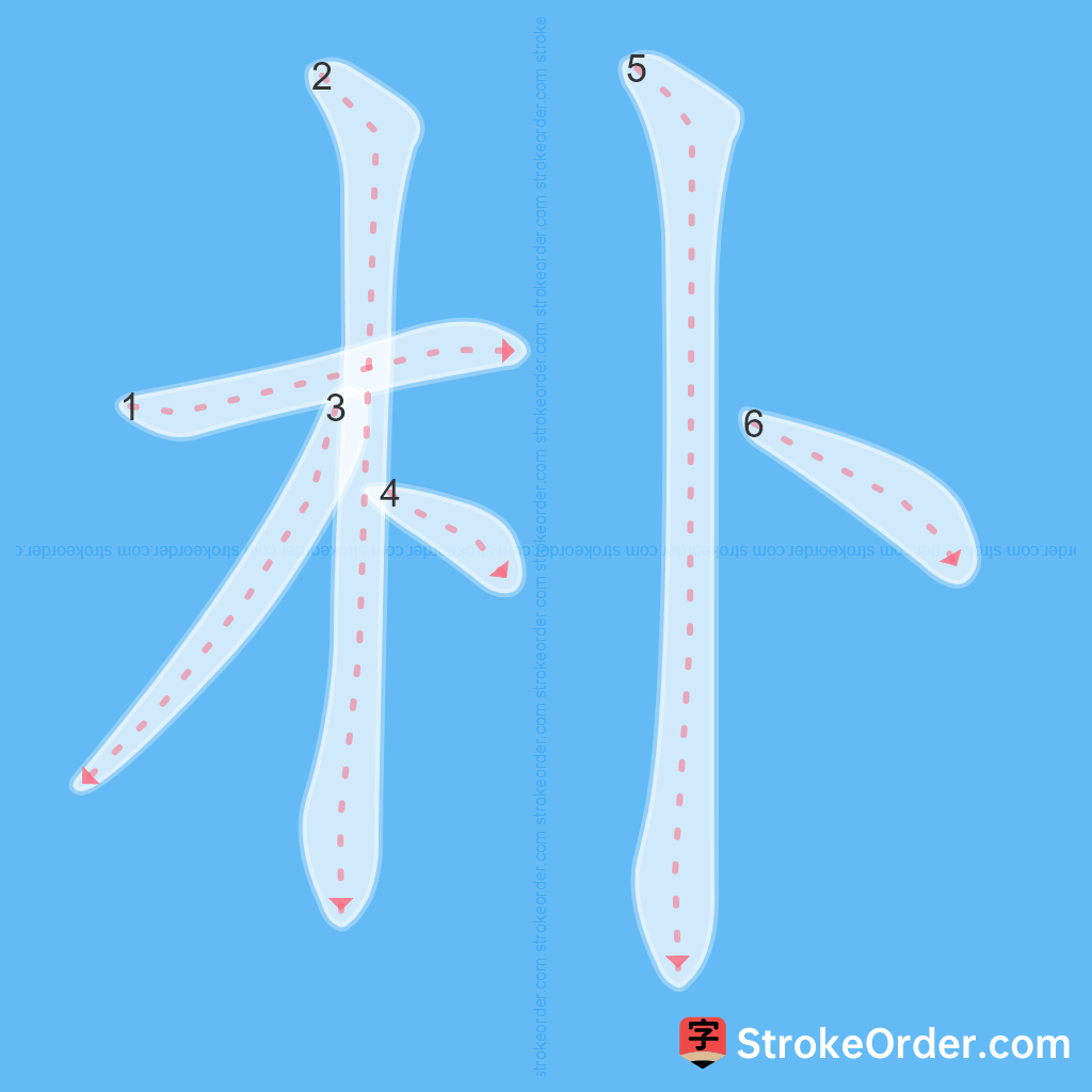 Standard stroke order for the Chinese character 朴