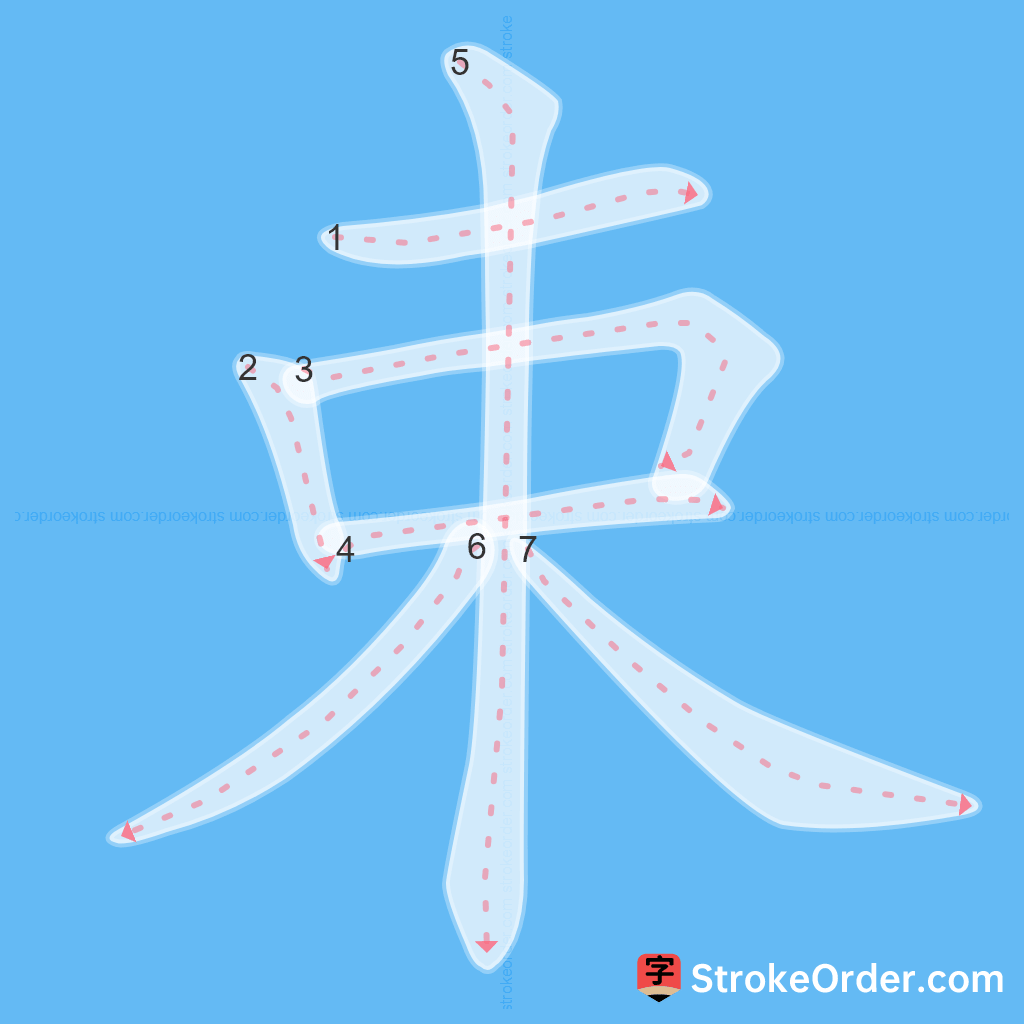 Standard stroke order for the Chinese character 束