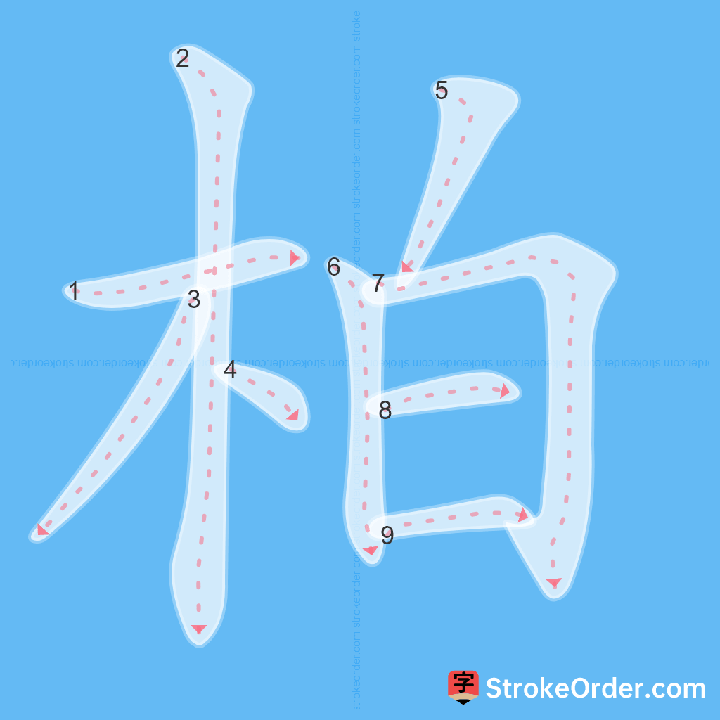 Standard stroke order for the Chinese character 柏
