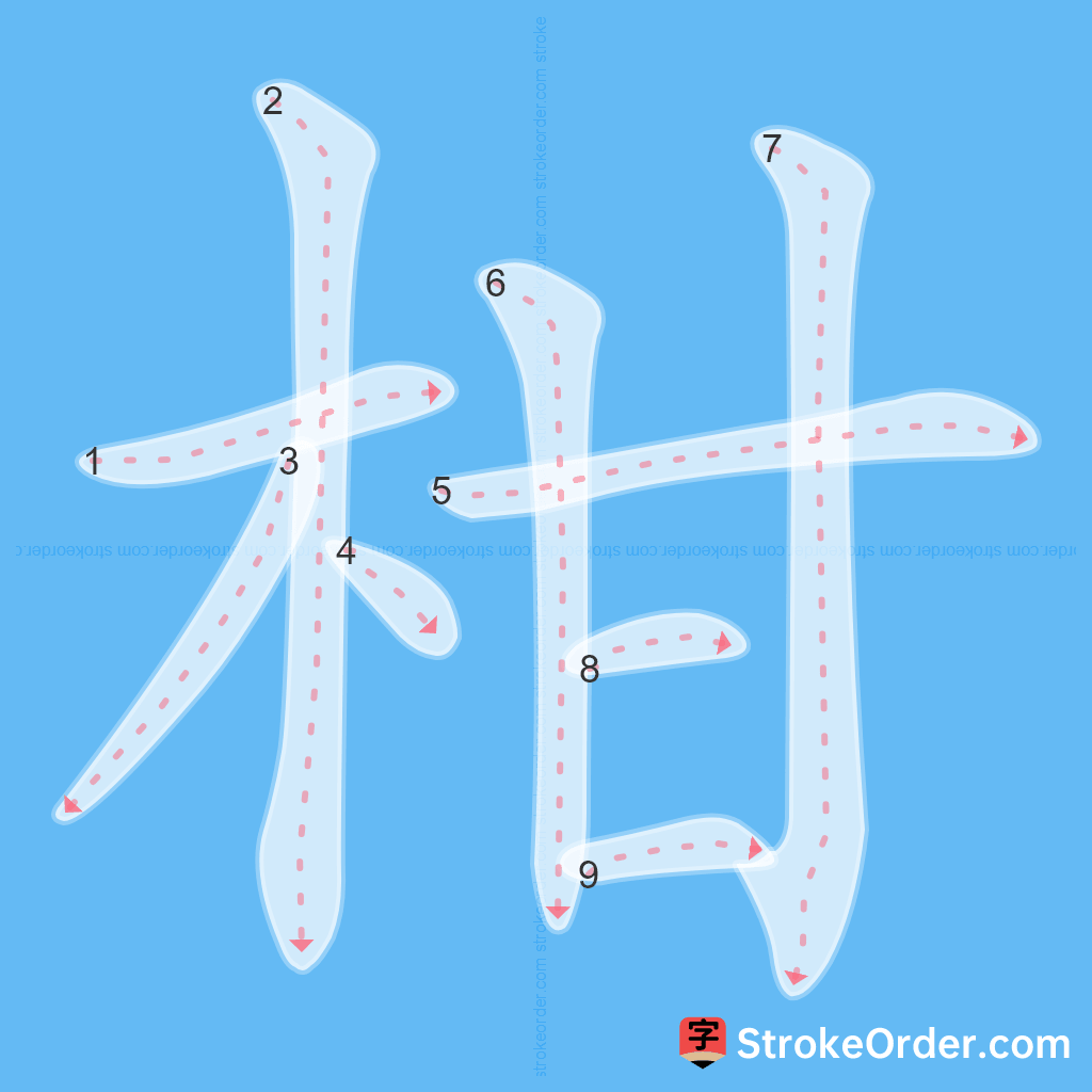 Standard stroke order for the Chinese character 柑