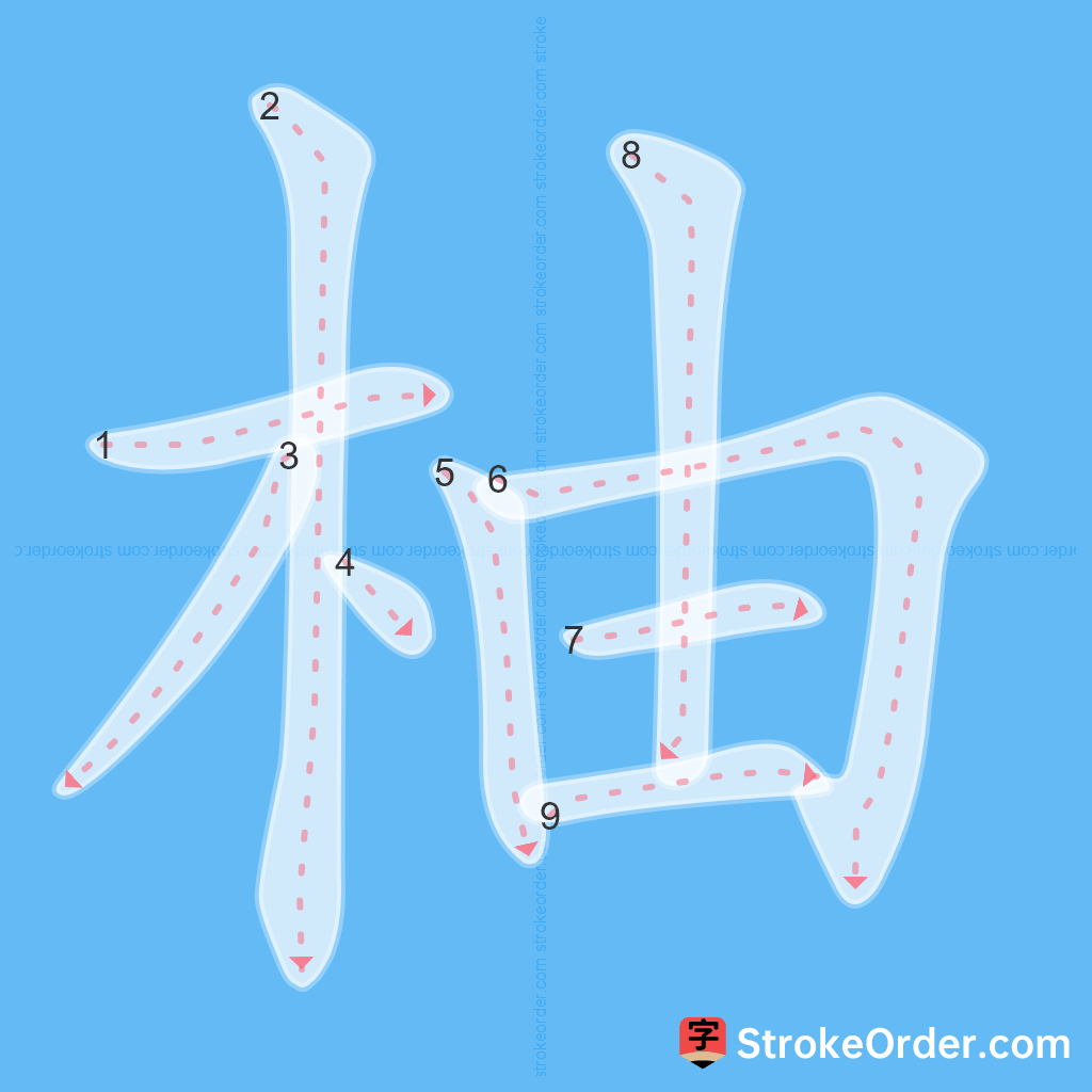 Standard stroke order for the Chinese character 柚