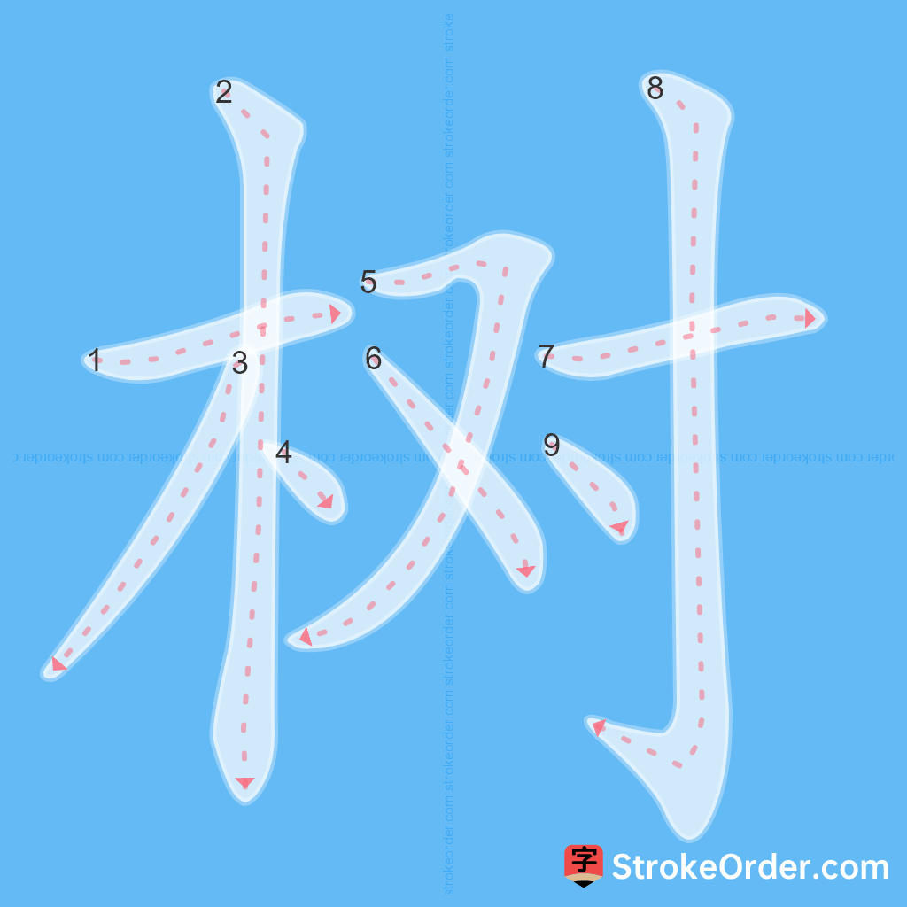 Standard stroke order for the Chinese character 树