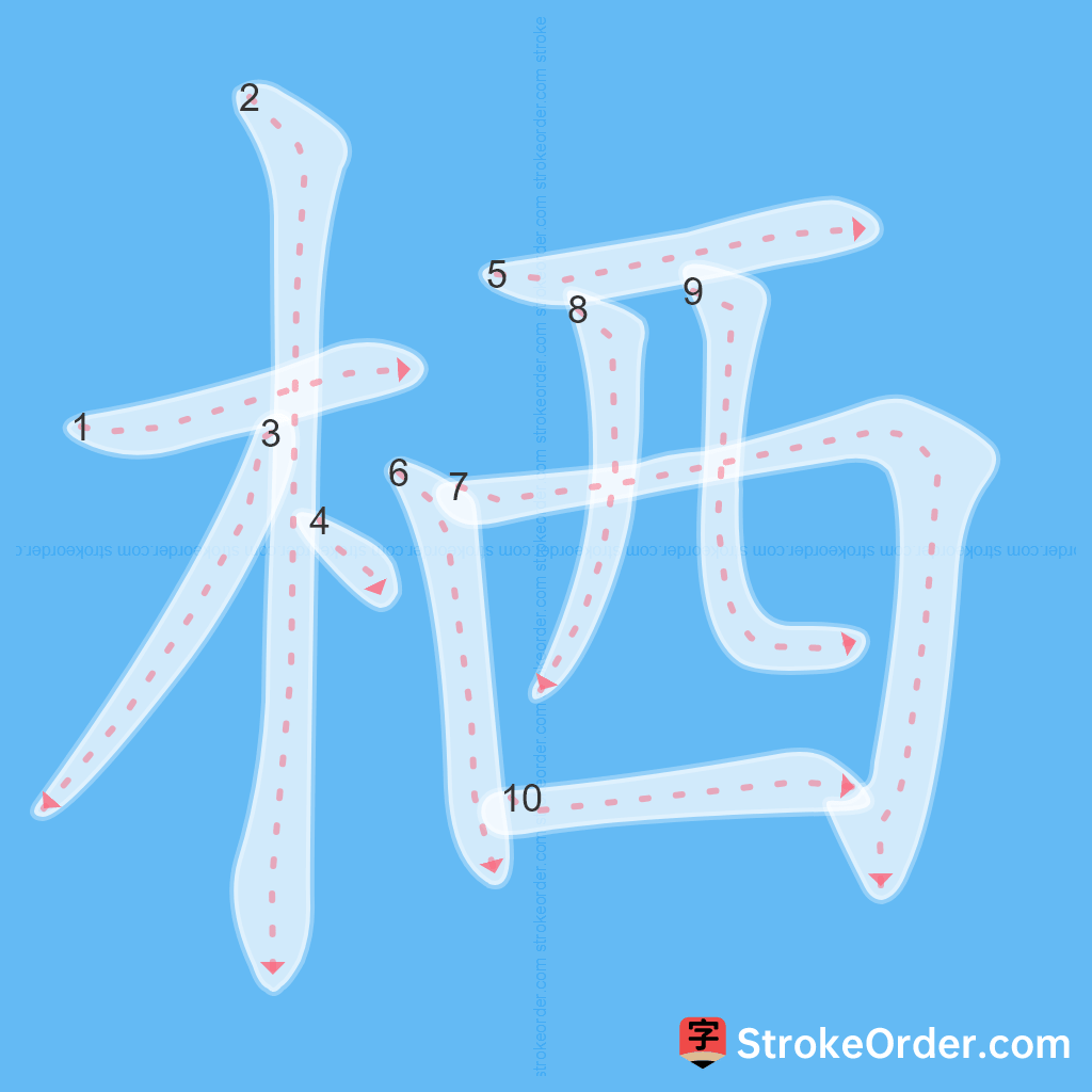 Standard stroke order for the Chinese character 栖