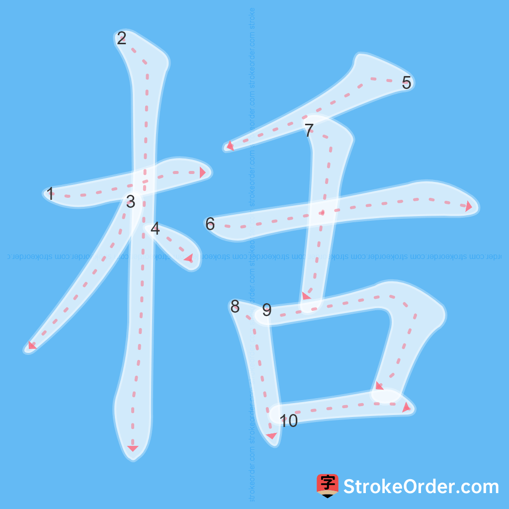 Standard stroke order for the Chinese character 栝
