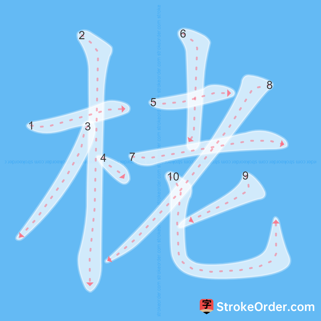 Standard stroke order for the Chinese character 栳