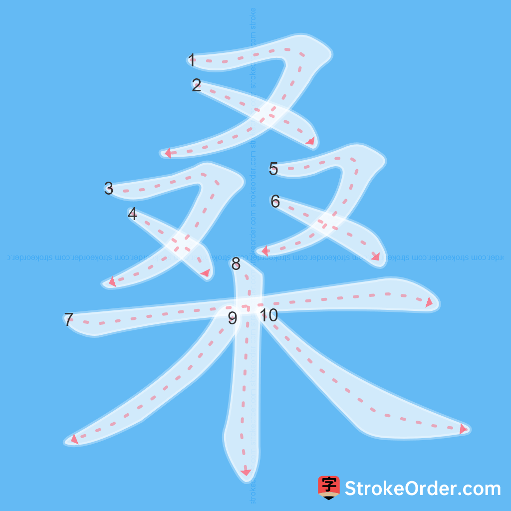 Standard stroke order for the Chinese character 桑