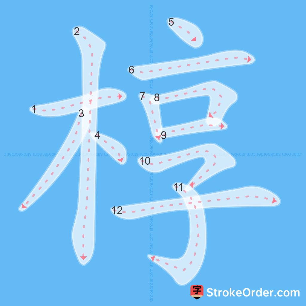 Standard stroke order for the Chinese character 椁