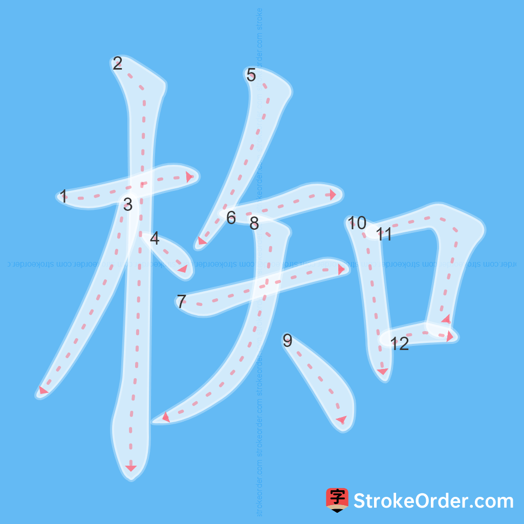Standard stroke order for the Chinese character 椥