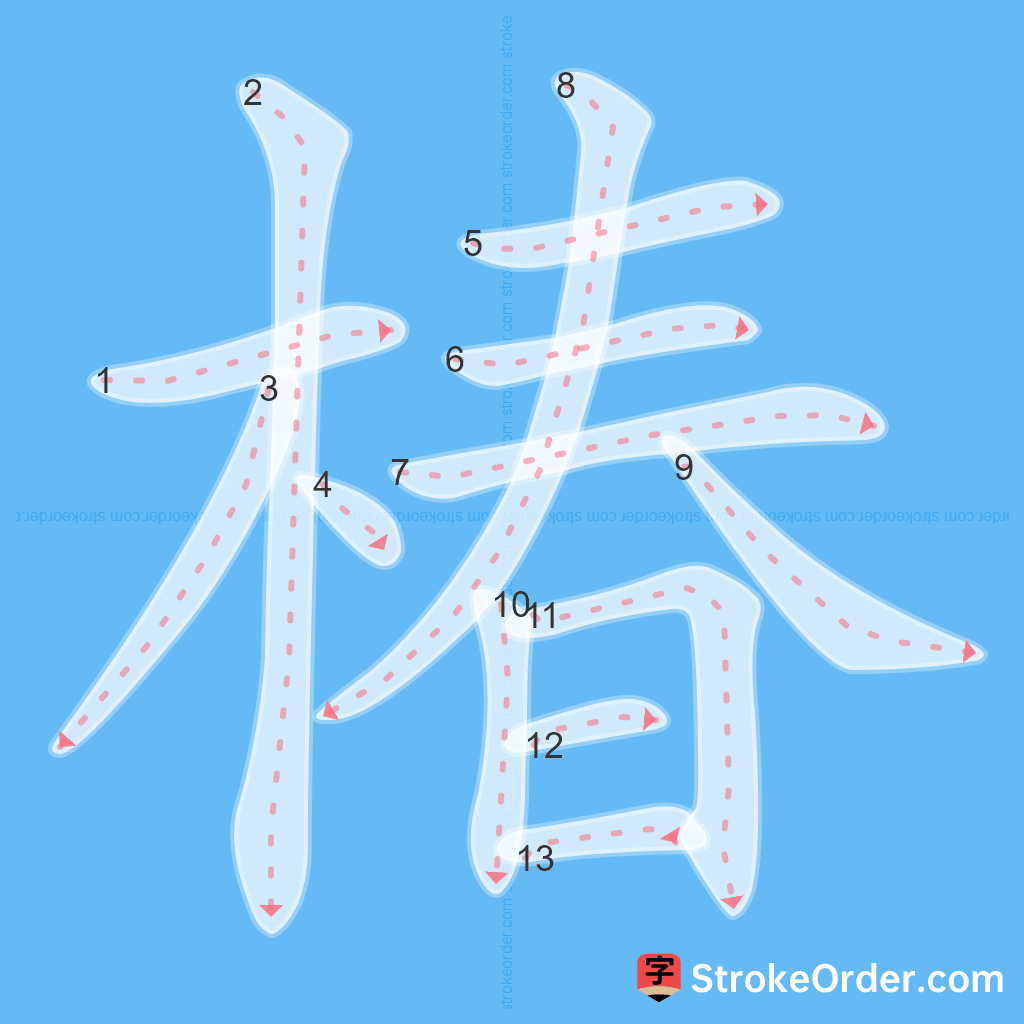 Standard stroke order for the Chinese character 椿
