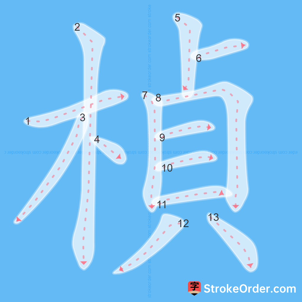 Standard stroke order for the Chinese character 楨