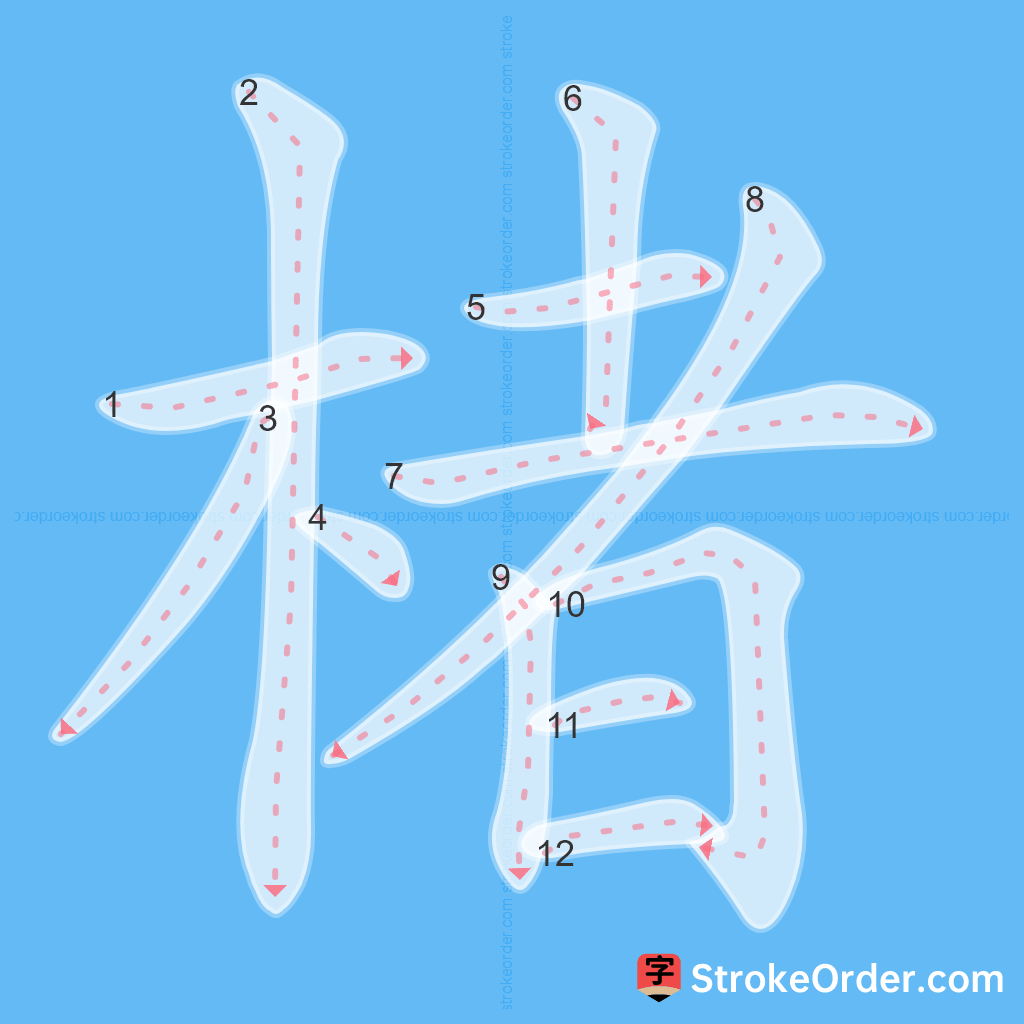 Standard stroke order for the Chinese character 楮