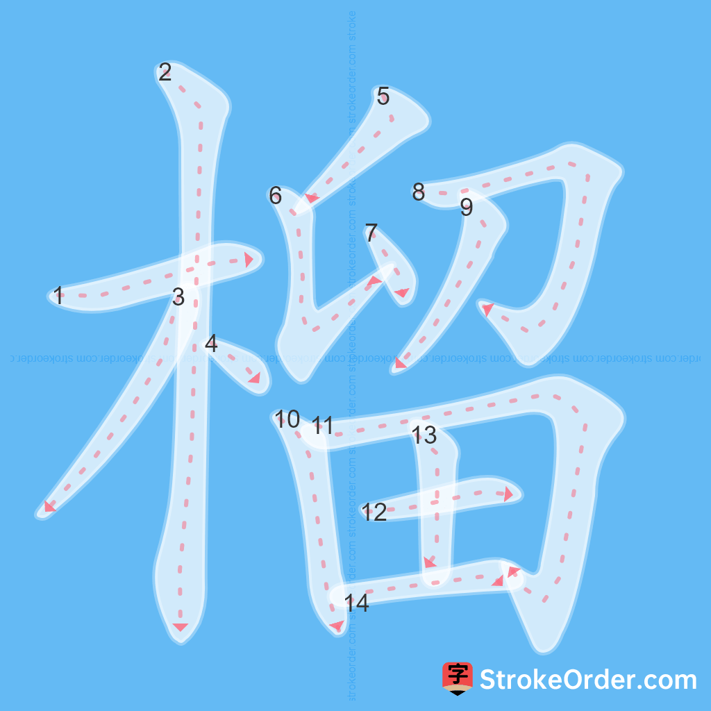 Standard stroke order for the Chinese character 榴