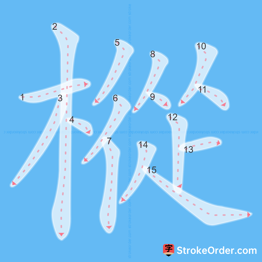 Standard stroke order for the Chinese character 樅