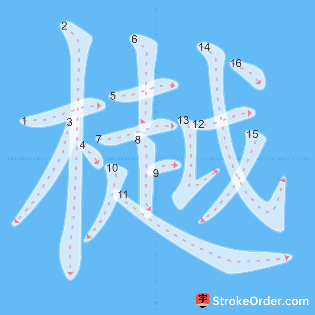 Standard stroke order for the Chinese character 樾