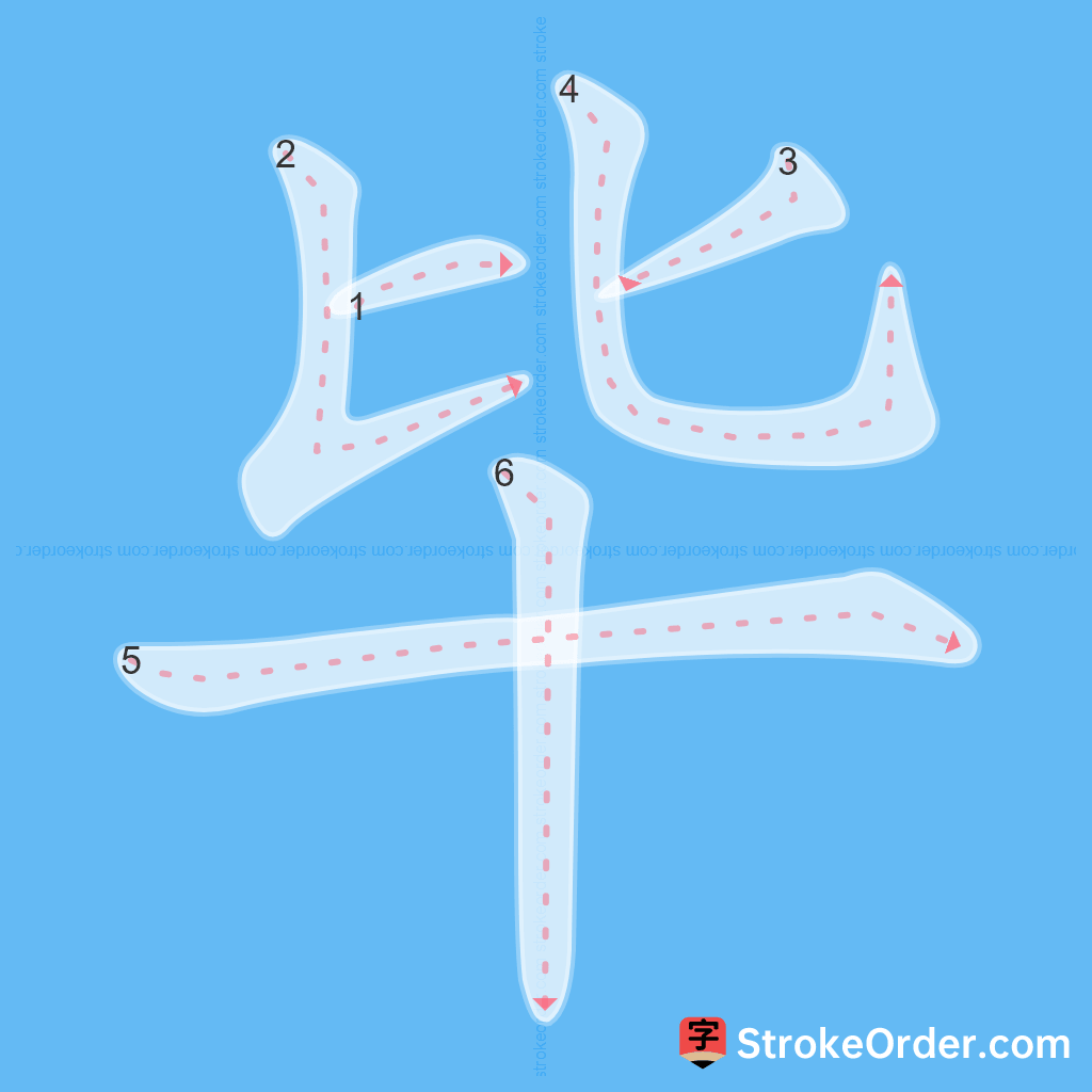 Standard stroke order for the Chinese character 毕