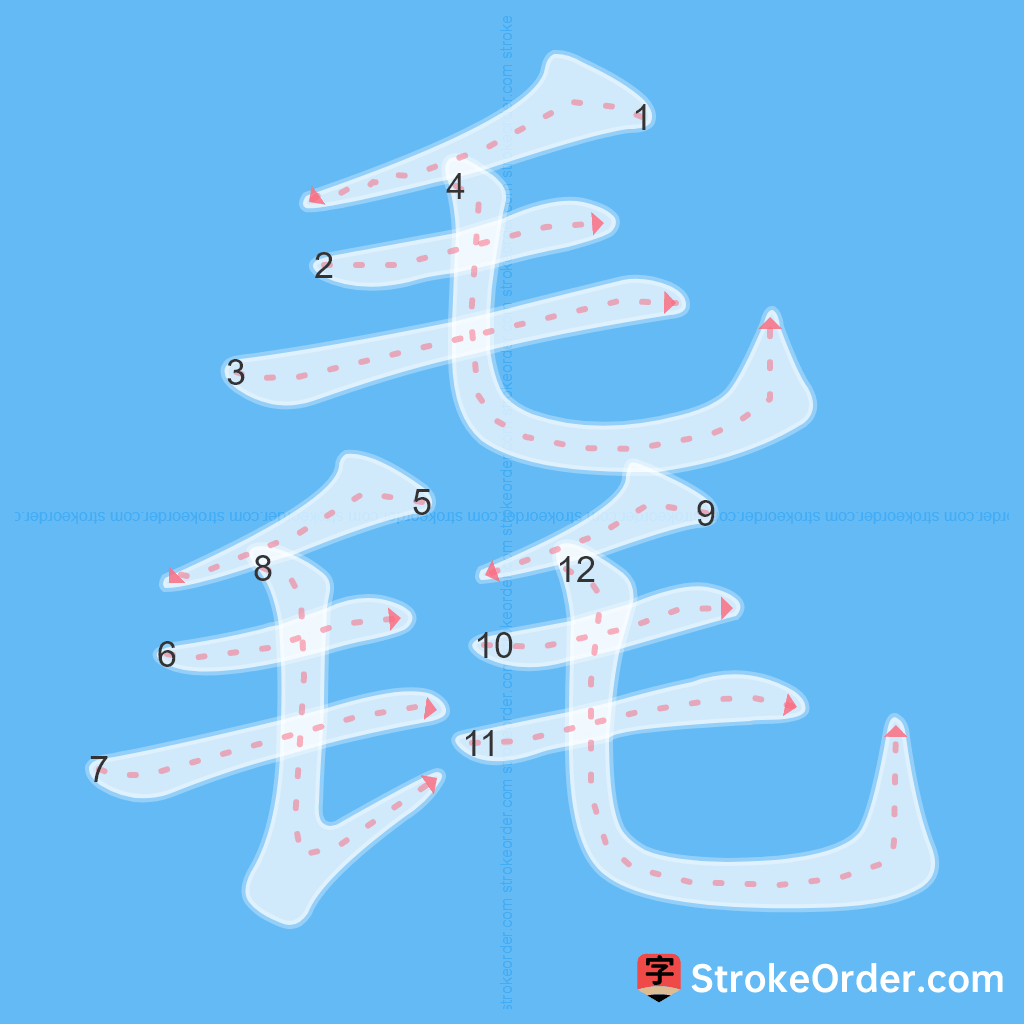 Standard stroke order for the Chinese character 毳