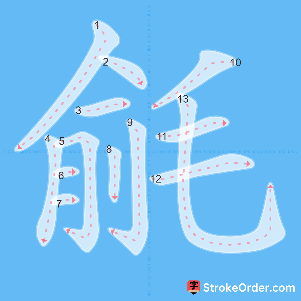 Standard stroke order for the Chinese character 毹