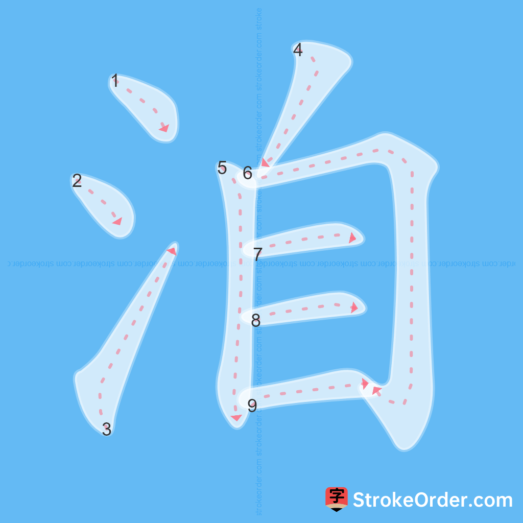 Standard stroke order for the Chinese character 洎