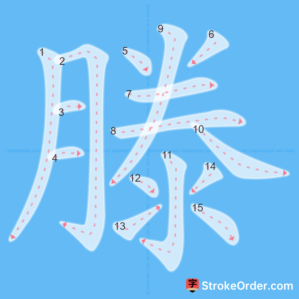 Standard stroke order for the Chinese character 滕