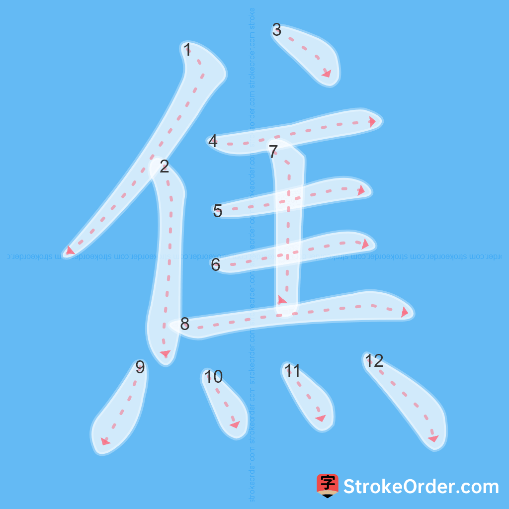 Standard stroke order for the Chinese character 焦