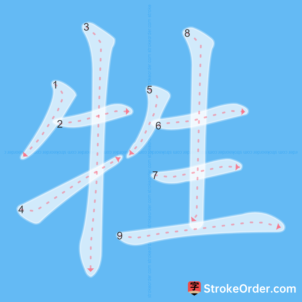 Standard stroke order for the Chinese character 牲