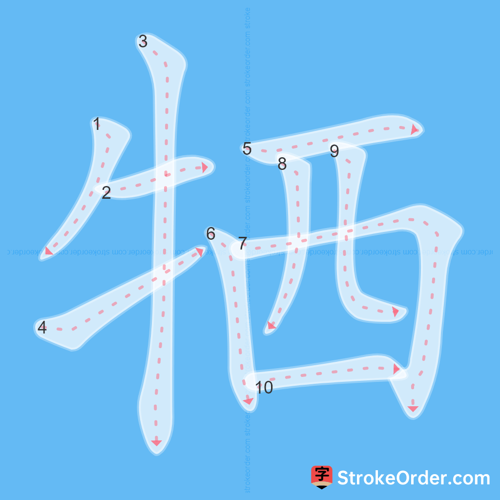 Standard stroke order for the Chinese character 牺