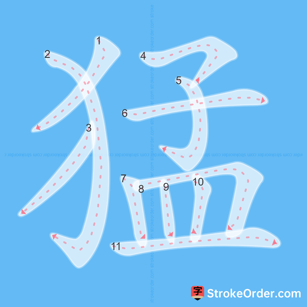 Standard stroke order for the Chinese character 猛