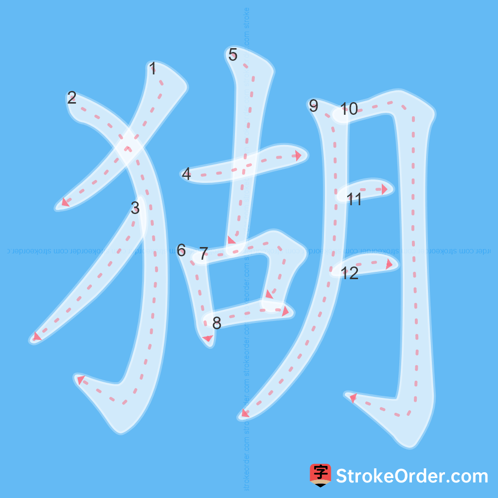 Standard stroke order for the Chinese character 猢